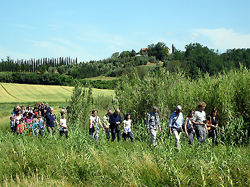 Fucecchio: il gruppo in arrivo da Ponte a Cappiano (foto Enrico Zarri)