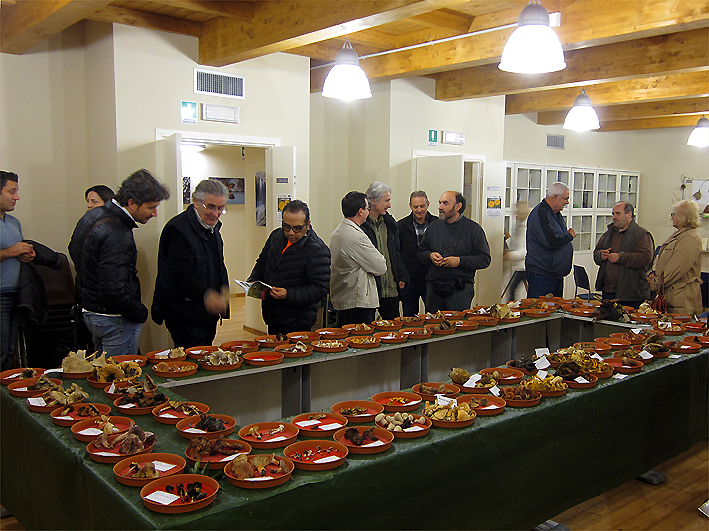 Visitatori della prima mostra micologica "Funghi del Montalbano"